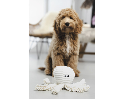 Hond met speelgoed octopus