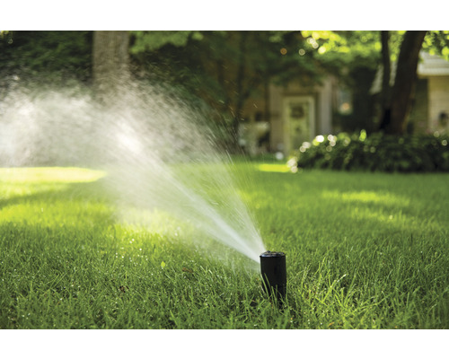 Sprinkler bewaterd gazon