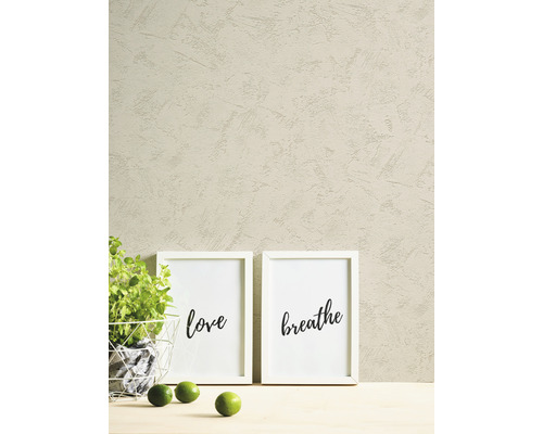 Wanddecoratie met twee ingelijste afbeeldingen en plant