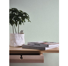 Decoratieve kamerplant in pot op een houten tafel met boeken en lade voor een effen muur