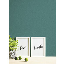 Decoratief stilleven met planten, limoenen en ingelijste kunstprints met de woorden liefde en ademen voor een muur