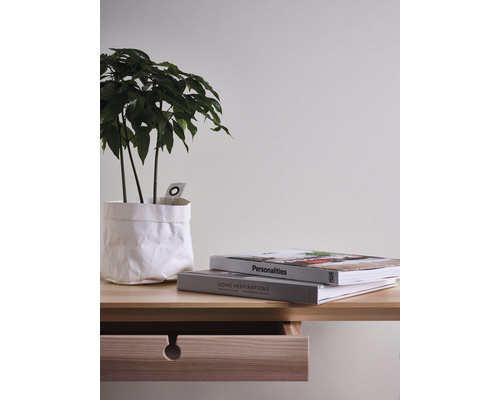 Decoratieve kamerplant in papieren zak op een tafel met lade en boeken