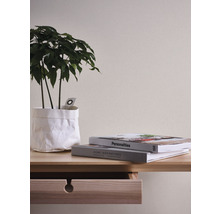 Decoratieve kamerplant in papieren zak op een houten tafel met lade en twee boeken.