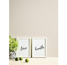 Decoratieve scène met twee ingelijste prints met de tekst liefde en ademen, een potplant en limoenen