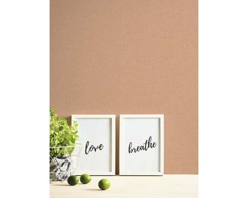 Decoratieve scène met kamerplant, twee ingelijste afbeeldingen met de opschriften Liefde en Adem en limoenen