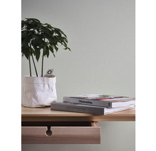 Decoratieve close-up met kamerplant, boeken en een tafel met lade