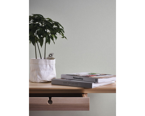 Decoratieve close-up met kamerplant, boeken en een tafel met lade