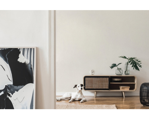 Woonkamer met dressoir, decoratie en hond