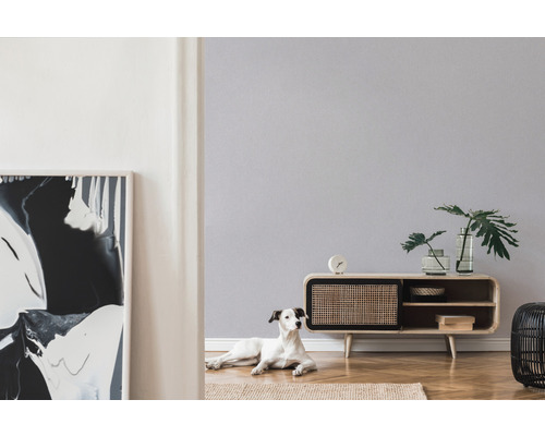 Woonkamer met tv-meubel, decoratie, schilderij en hond op vloerkleed