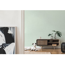 Woonkamer met dressoir, decoratie, kamerplanten en een hond op een kleed