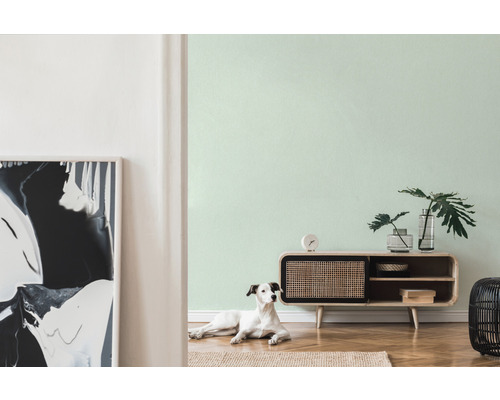 Woonkamer met dressoir, decoratie, kamerplanten en een hond op een kleed