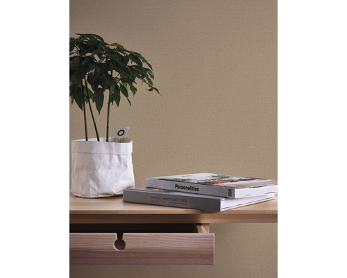 Close-up van een wand met een plant, boeken en een tafel met lade.