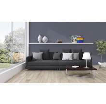 Woonkamer met bank, tafel, planken en decoraties voor een gezellige sfeer.