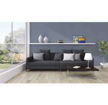 Woonkamer met bank, tafel, plank en decoratie