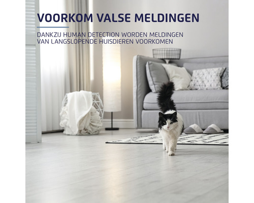 Woonkamer met kat en de tekst: Voorkom valse meldingen. Dankzij human detection worden meldingen van langslopende huisdieren voorkomen.