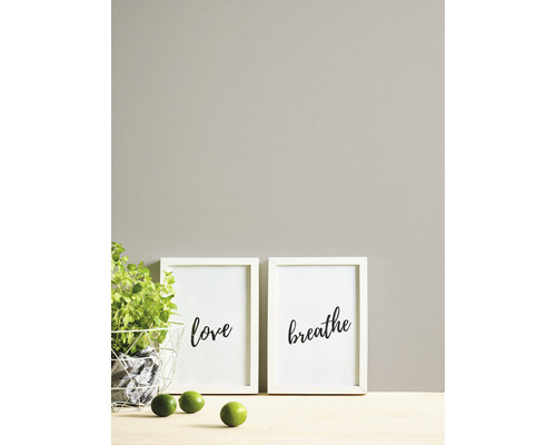 Decoratieve fotolijsten met de woorden liefde en ademen naast een plant en limoenen