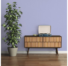Scene met kamerplant in pot, platenspeler en dressoir in de kamer.