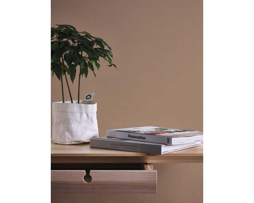 Tafel met kamerplant in papieren zak en twee boeken