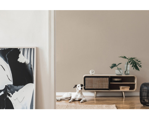 Woonkamer met houten dressoir, glazen vazen, kamerplant en een hond op het vloerkleed.