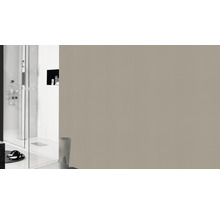 Badkamer met douche en beige muur