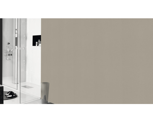 Badkamer met douche en beige muur