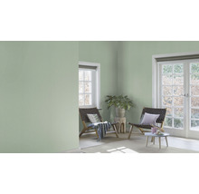 Lichte, vriendelijke kamer met groene muurverf, fauteuils en daglicht