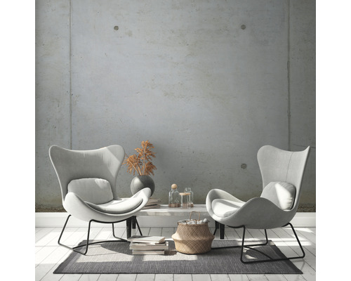 Woonkamer met twee oorfauteuils, tafel en decoratie op een vloerkleed