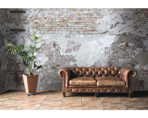 Interieurweergave met leren bank, kamerplant en bakstenen muur