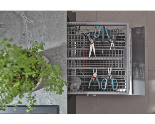 Open lade met tuinscharen en een plant in een pot