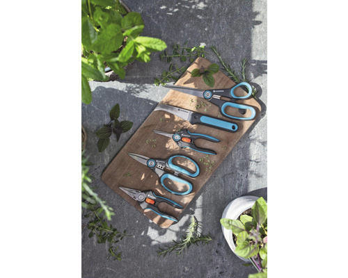 Diverse tuinscharen op een houten plank met kruiden.