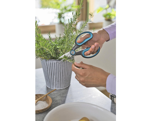 Een persoon knipt kruiden in een pot met een tuinschaar.