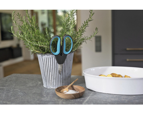 Kruidenpot met schaar, schaal met aardappelen en schaal met zout op een aanrecht