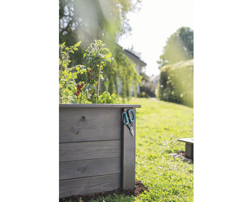 Houten plantenbak met tomatenplanten en een tuinschaar