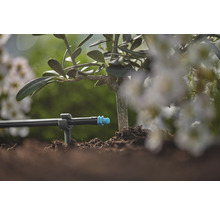 Druppelirrigatiesysteem op een plant in de tuin