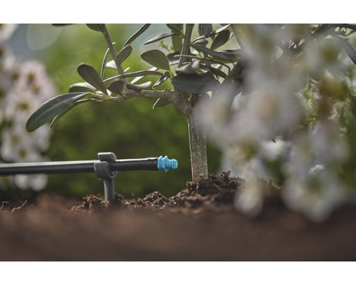 Druppelirrigatiesysteem op een plant in de tuin