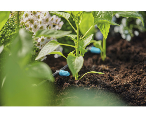 Irrigatiesysteem in de tuin met planten