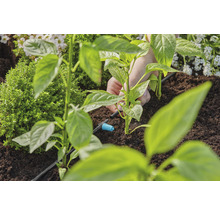 Installatie van een irrigatiesysteem voor planten in de tuin