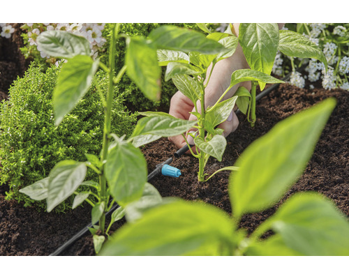 Installatie van een irrigatiesysteem voor planten in de tuin