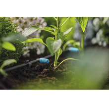 Druppelirrigatiesysteem in de tuin met planten en bloemen