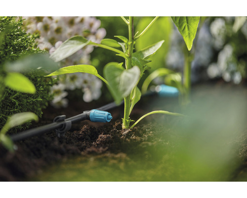 Druppelirrigatiesysteem in de tuin met planten en bloemen