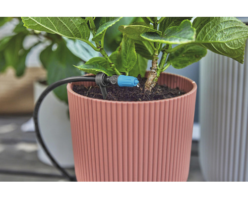 Close-up van een potplant met irrigatiesysteem voor kamerplanten