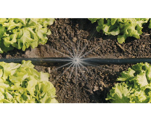 Irrigatiesysteem met druppelslang en sla planten in de tuin