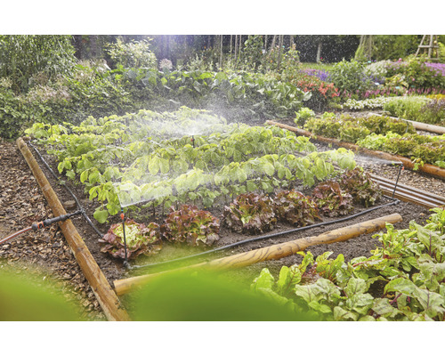 Groentetuin met irrigatiesysteem voor planten