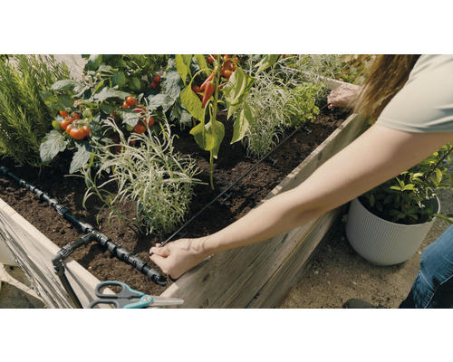Verhoogde tuinbak met groenteplanten en irrigatiesysteem