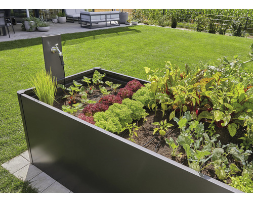 Verhoogde tuinbak met verschillende groenten en waterkraan in de tuin.