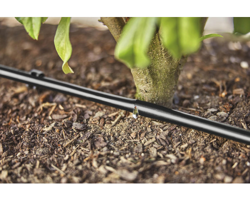 Druppelslang voor het bewateren van planten in de tuin.