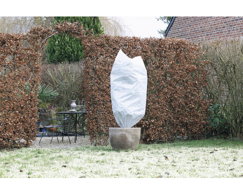 Planten in pot met winterbeschermingsvlies in de tuin