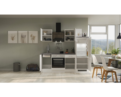 Complete keuken met apparatuur, spoelbak, kasten en afzuigkap