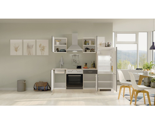 Moderne keuken met spoelbak, fornuis, oven, afzuigkap, koelkast en hangkasten in een lichte ruimte.