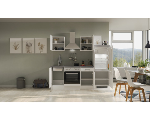 Moderne inbouwkeuken met spoelbak, kookplaat, oven, afzuigkap en koelkast